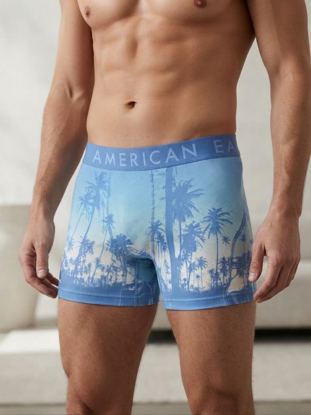 American Eagle Outfitters Light Blue Palm-Print Boxer Briefs